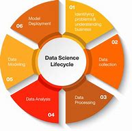 Data Science Lifecycle